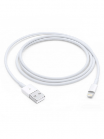 Câble Apple Lightning 1m
